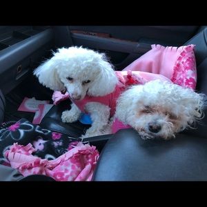 Meet your Posher, Shari